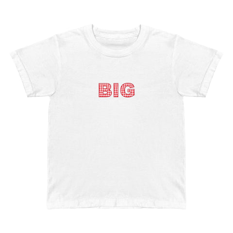 "Family Picnic" Big Little Baby Tee