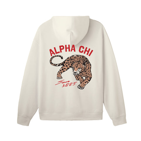 PO 13973| American University| Alpha Chi Omega |STANDARD HOODIE
