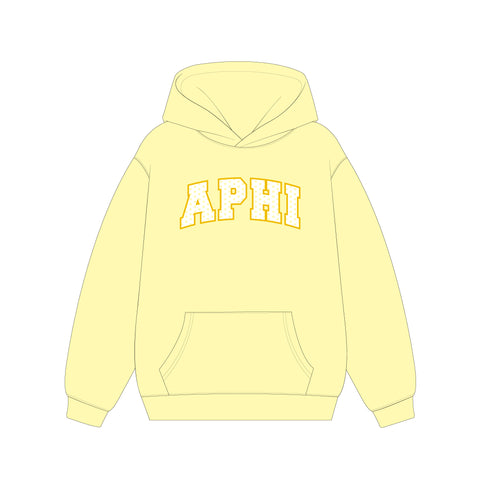 PO 12366| Northwestern University Alpha Phi  HLH Hoodie