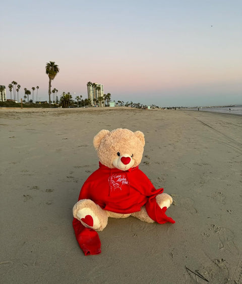 Teddy bear wearing a red hoodie on a sandy beach with palm trees and buildings in the background.