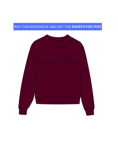 ALPHA OMICRON PI HLH Mock Neck