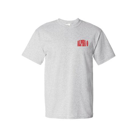 PO 16125 Alpha Omicron Pi Standard Tee