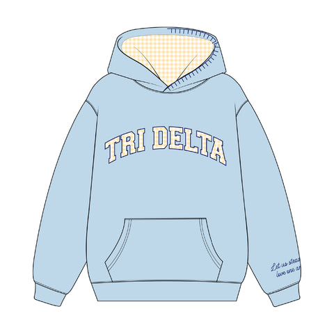 PO 18502 Delta Delta Delta  Hoodie