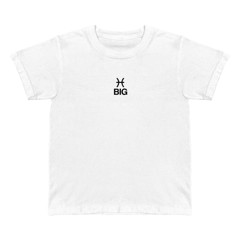 Sister Signs: Pisces Big little Baby Tee