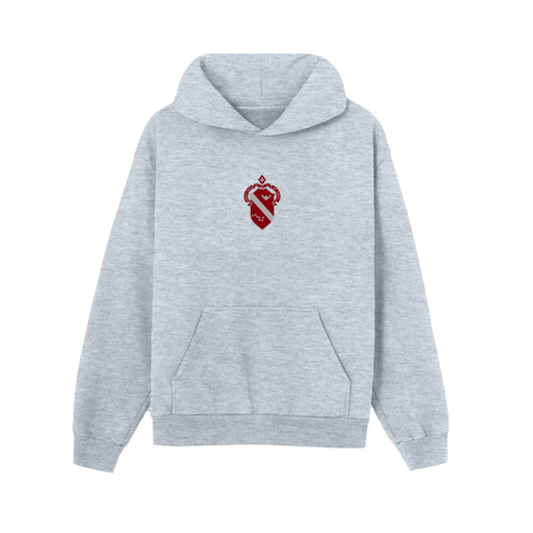 PO 19290 - Alpha Phi Heather Grey Hoodie
